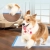 9.webp