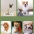 10.webp