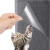 12.webp