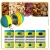 6.webp