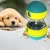 9.webp