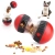 11.webp
