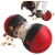 14.webp