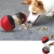 20.webp