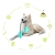 14.webp