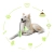 113.webp