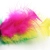 4.webp
