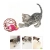 5.webp