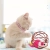 6.webp