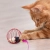 8.webp