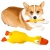 d.webp