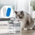 20.webp
