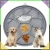 11.webp