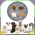 18.webp