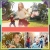 15.webp