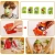 21.webp