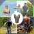 116.webp