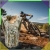 117.webp