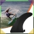 14.webp