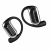 14.webp