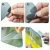 115.webp
