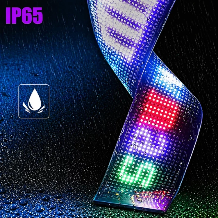 5.webp