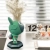 14.webp