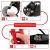 7.webp