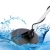 20.webp