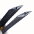 12.webp