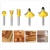16.webp