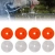 7.webp