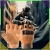 16.webp