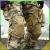 8.webp
