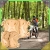 9.webp