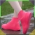 16.webp
