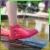 18.webp