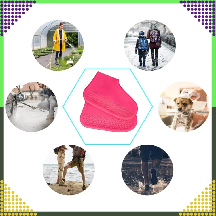 14.webp