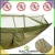 12.webp