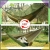 15.webp