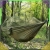 18.webp
