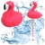 11.webp