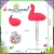14.webp