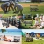 117.webp