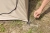 8.webp