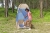 10.webp