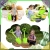 14.webp