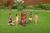 118.webp