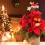 113.webp