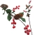 111.webp